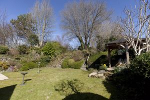 Garden (3)- click for photo gallery